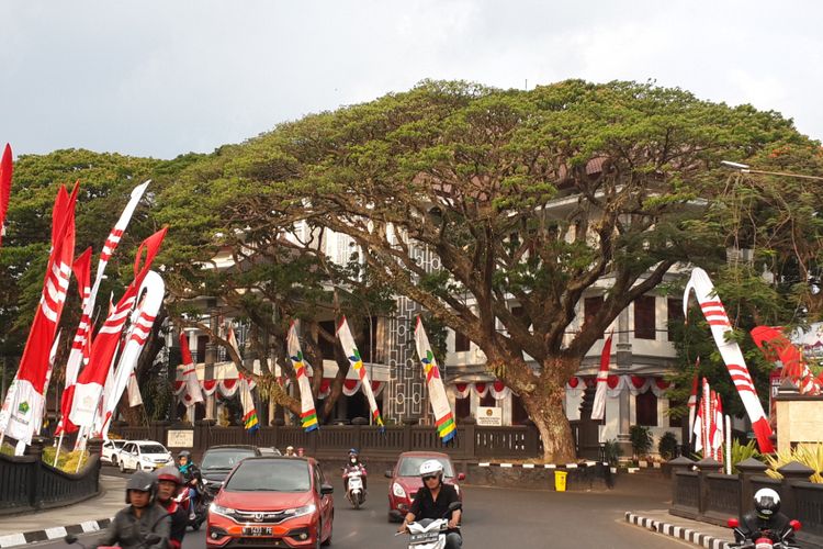 Sejumlah pohon trembesi yang ada di depan gedung DPRD Kota Malang, Senin (20/8/2018)