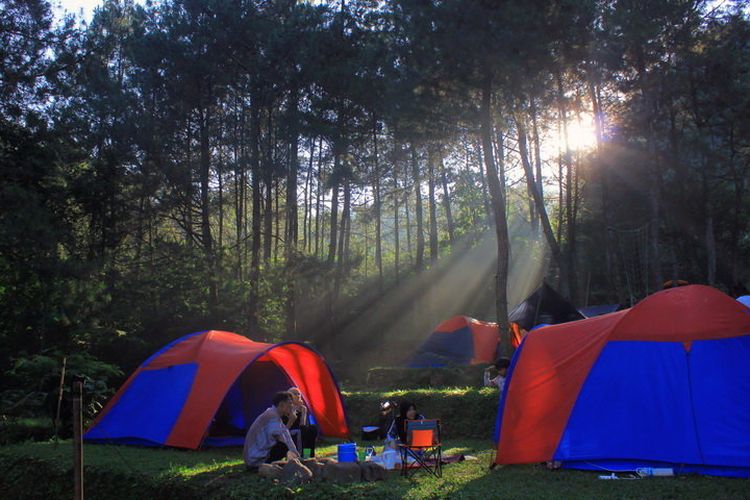 Highland Camp Curug Panjang, tempat camping di Bogor