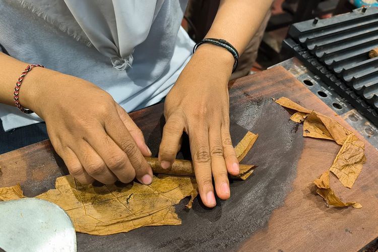 Tembus Pasar Dunia, Cerutu Jember Ternyata Butuh 4 Tahun untuk Produksi