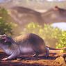 Fosil Spesies Baru Tikus Purbakala Ditemukan di Hutan Amazon