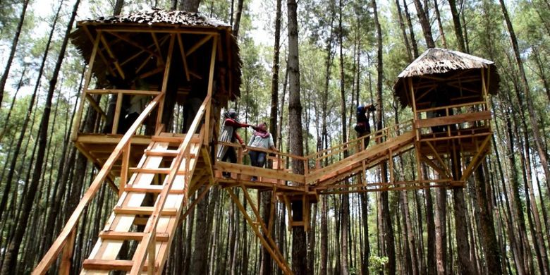 Rumah pohon ini dijadikan sebagai tempat foto selfie dan disukai para pengunjung yang masuk alam Wisata Hutan Pinus Samparona diKota Baubau, Sulawesi Tenggara, Minggu (11/2/2018).