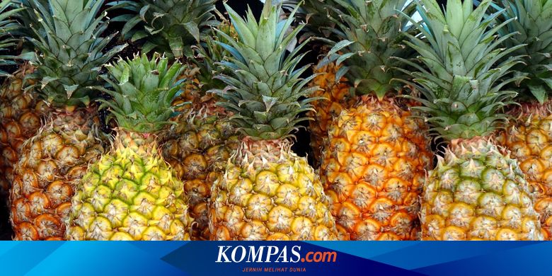 Makan Nanas Bikin Mulut Lecet Apa Yang Harus Dilakukan Halaman All Kompas Com