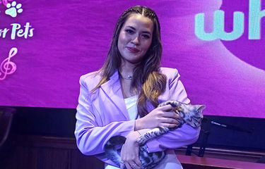 Rawat Hewan Peliharaan Tak Cukup Cuma Sayang, Raisa: Harus Buat ...