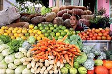 Alasan di Balik Mahalnya Sayur Organik daripada Sayur Non-Organik