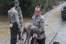 Anjing Pelacak K9 Dievakuasi Akibat Kelelahan di Lokasi Longsor Gowa