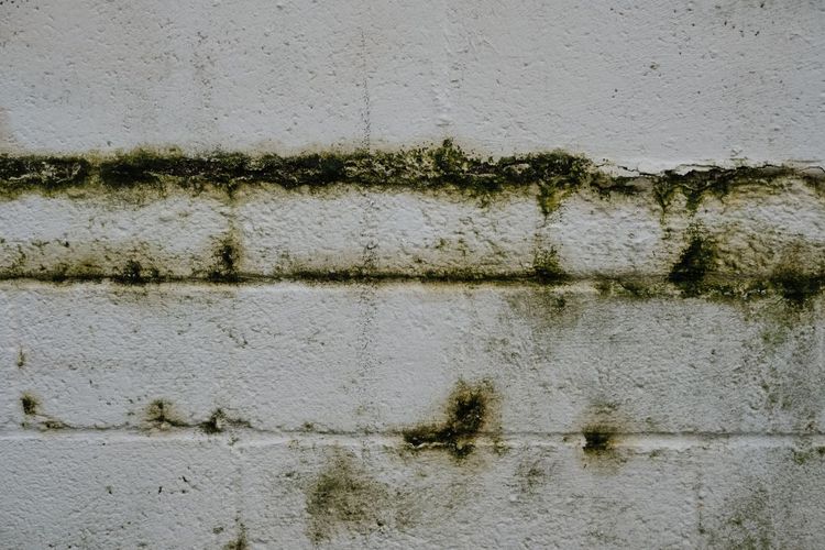 Kenali 5 Tanda Dinding Belakang Wallpaper Mulai Berjamur