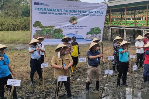 Sampah Sungai Tantangan Mangrove di Pesisir Pantai Kulon Progo