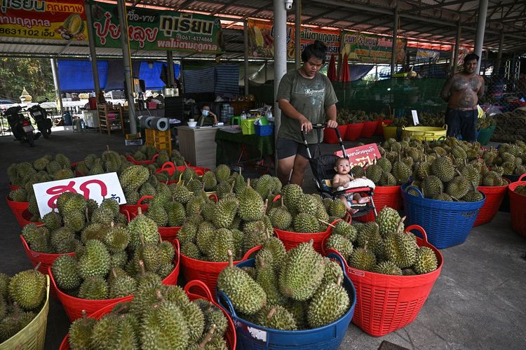 China Bikin Kereta Ekspres Khusus Durian, Bisa Bawa 200.000 Ton dari Thailand
