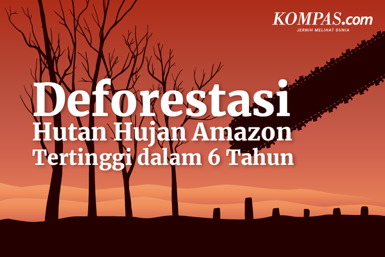 Deforestasi Hutan Hujan Amazon Tertinggi dalam 6 Tahun