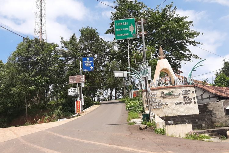 Pintu Masuk Kawasan Hutan Pinus Bantul