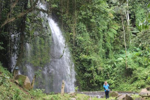 Suka Air Terjun? Pesawaran Lampung Punya 4 Air Terjun Cantik