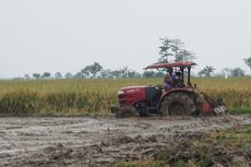 Tambahan Subsidi Bunga KUR Bisa Genjot Penyediaan Alsintan