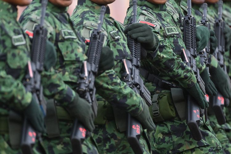 Eks Jenderal Soroti Rencana Penambahan Batalion Teritorial Pembangunan