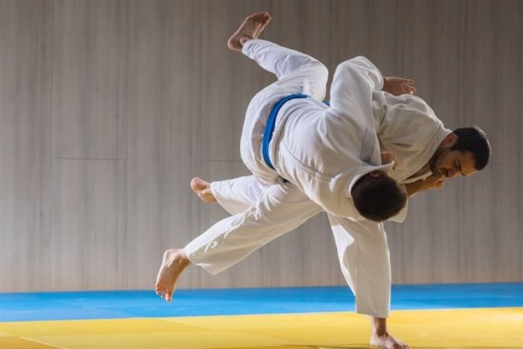 Judoka Israel, ilustrasi