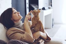6 Cara Kucing Menunjukkan Kasih Sayang