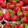 Apakah Penderita Diabetes Boleh Makan Strawberry?