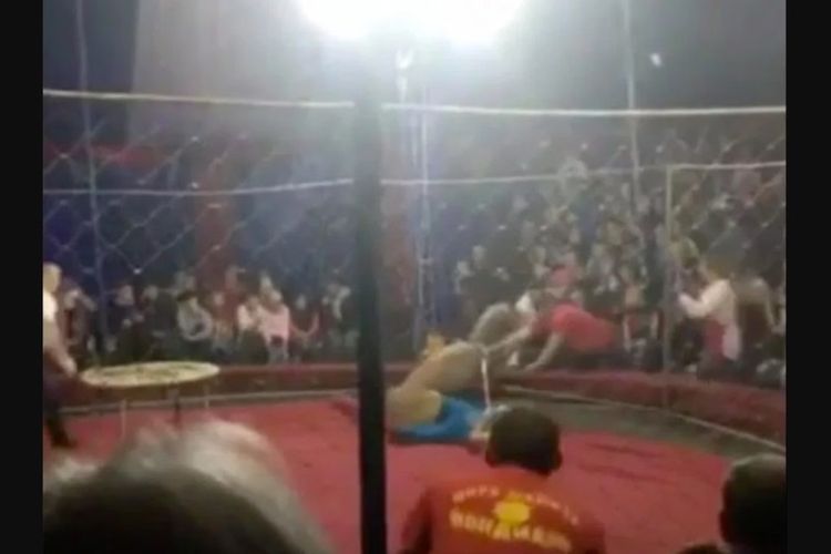 Momen saat pawang dan penonton berupaya menyelamatkan anak gadis dari cengkeraman singa betina dalam sirkus di Rusia.