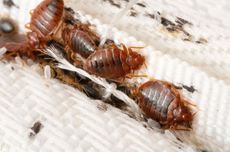 Mantan Gubernur Maluku Said Assagaf Wafat, Menko Airlangga Melayat