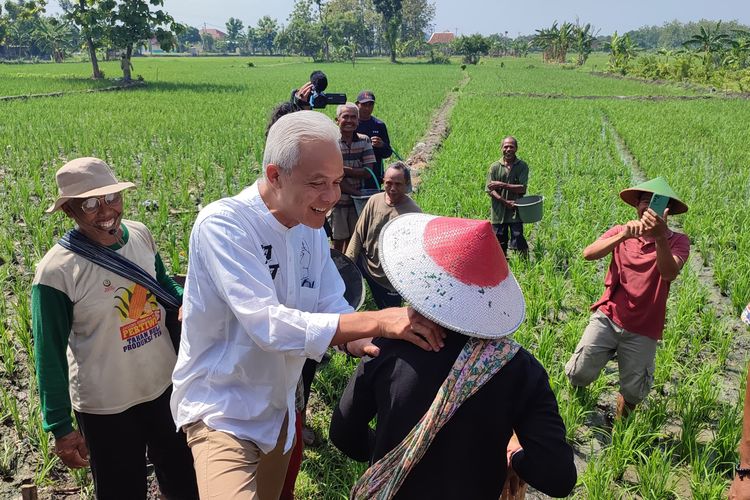 Calon presiden nomor urut 3, Ganjar Pranowo, memijit pundak seorang petani di Dusun Bladeg, Desa Kutukan, Blora, Jawa Tengah, Kamis (4/1/2024).