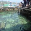 karimunjawa tanpa trip