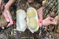 Penggalangan Donasi Bantu Pemulihan Masyarakat Setelah Diterjang Bencana Sumatera