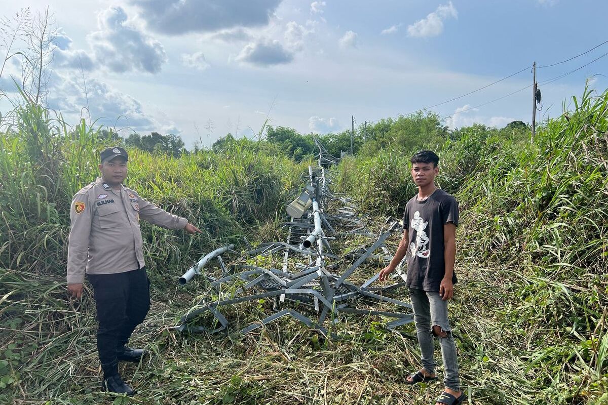 Mushuk va katta dumba bilan porno suratlar