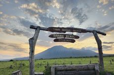 5 Tempat Wisata di Taman Nasional Baluran, Ada Sabana dan Pantai