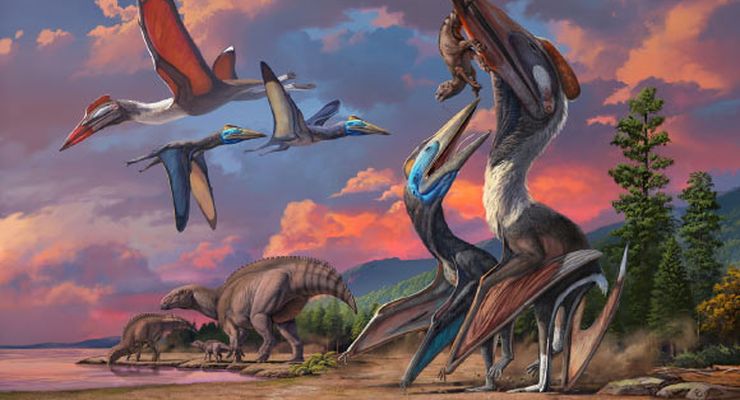 Dua Spesies Pterosaurus Baru Ditemukan di Gurun Gobi