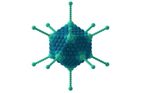 Virus Ikosahedral: Pengertian dan Contohnya