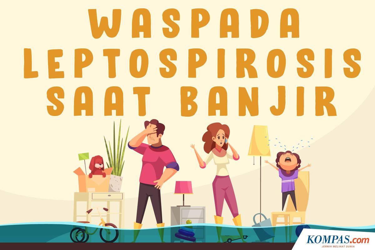 Waspada Leptospirosis Saat Banjir