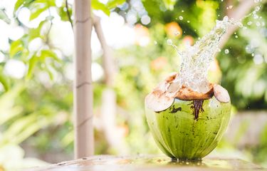 15 Manfaat Minum Air Kelapa Saat Hamil Halaman all - Kompas.com