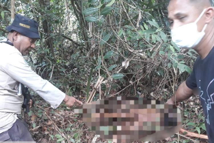 Petugas kepolisian Polsek Kuala Kampar saat menemukan wanita yang tewas diterkam harimau di areal HTI di Desa Pulau Muda, Kecamatan Teluk Meranti, Kabupaten Pelalawan, Riau, Sabtu (20/8/2022).