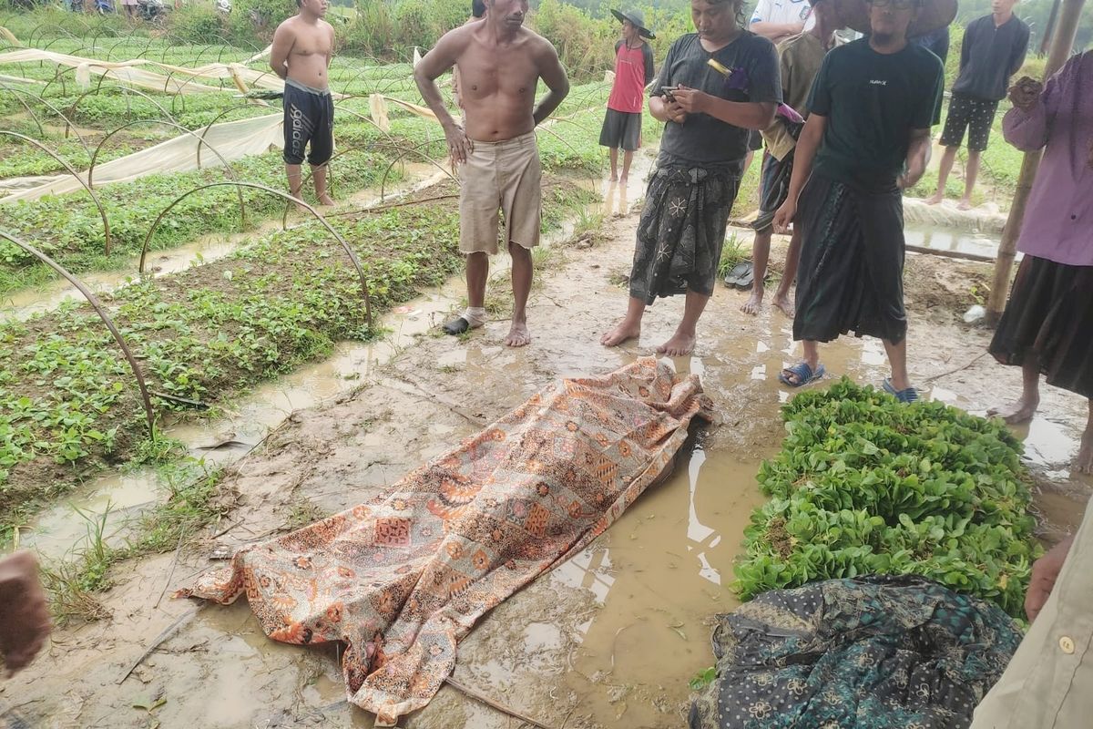 Korban ditutup kain jarik usai tersambar petir di ladang tembakau di Desa Jeruk Porot, Kecamatan Torjun, Kabupaten Sampang, Minggu (6/7/2025). 