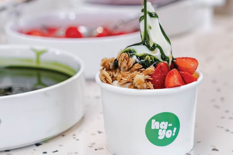Dessert di HA-YO Frozen Yogurt. 