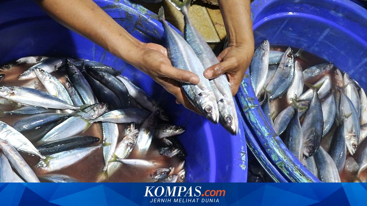 Tips Memilih Ikan Segar untuk Dibakar Saat Malam Tahun Baru