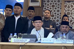 MUI Sebut Israel Brutal dan Langgar HAM Saat Tangkap 9 WNI dalam Misi Kemanusiaan