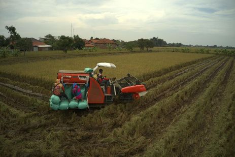 Dorong Percepatan Tanam di Indramayu, Kementan Pastikan Alsintan, Benih, dan Irigasi Bergerak Serempak