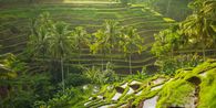 25 Wisata Bali yang Populer dan Unik, Pas buat Libur Panjang 