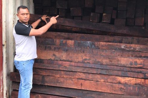 Polisi Gagalkan 4 Kontainer Kayu Merbau yang Akan Diselundupkan ke Surabaya