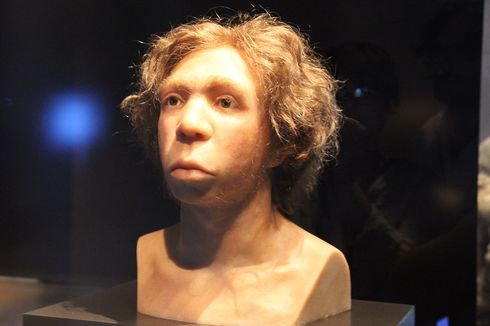 Jejak Kaki Berumur 100.000 Tahun Ungkap Anak Neanderthal Bermain Pasir di Pantai