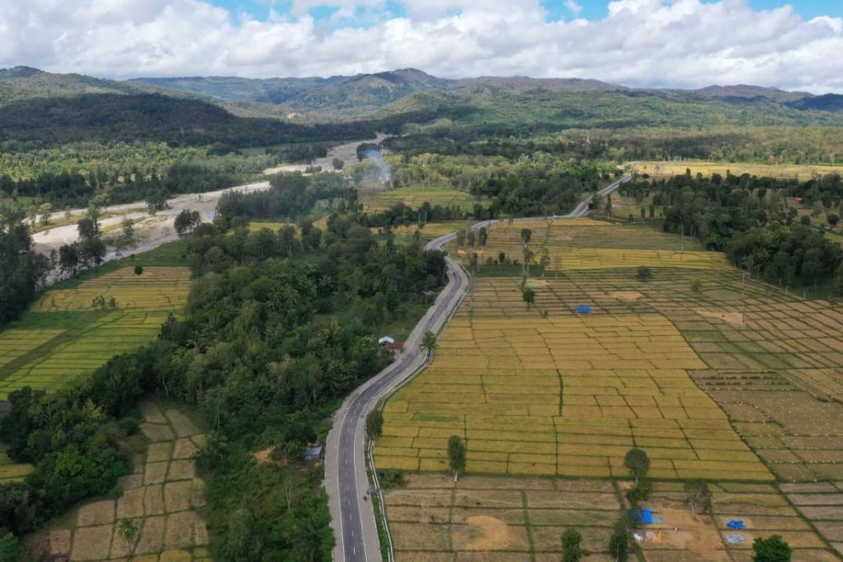 Jalur Sabuk Merah Sektor Timur di Nusa Tenggara Timur. Ini merupakan jalan perbatasan antara Indonesia dengan Timor Leste.