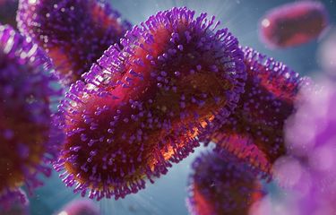 Virus Cacar Monyet Ditemukan pada Sampel Dubur Pasien Tanpa Gejala ...