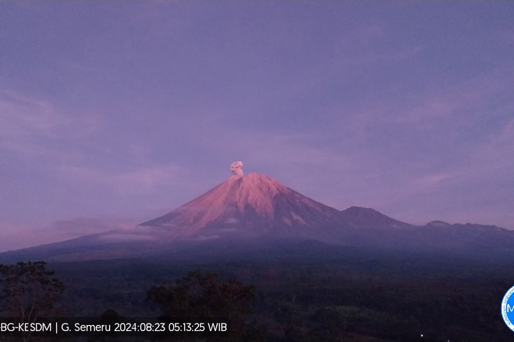 Visual erupsi Gunung Semeru berupa letusan setinggi 700 meter, Jumat (23/8/2024)