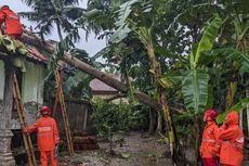 Hujan Deras Angin Kencang, 30 Rumah di Kebumen Rusak Tertimpa Pohon