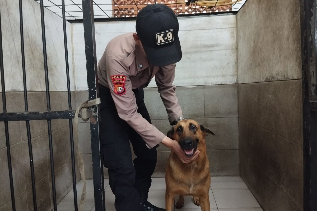 Seorang petugas bersama anjing K9 di Jakarta, Kamis (1/2/2024)