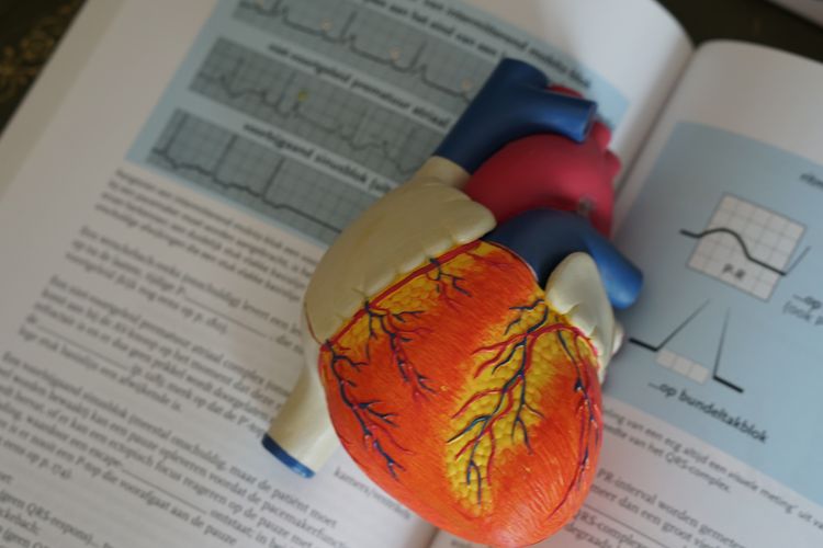 Serangan jantung bisa datang kapan saja, cermati tanda yang dikeluarkan oleh beberapa bagian tubuh Anda.
