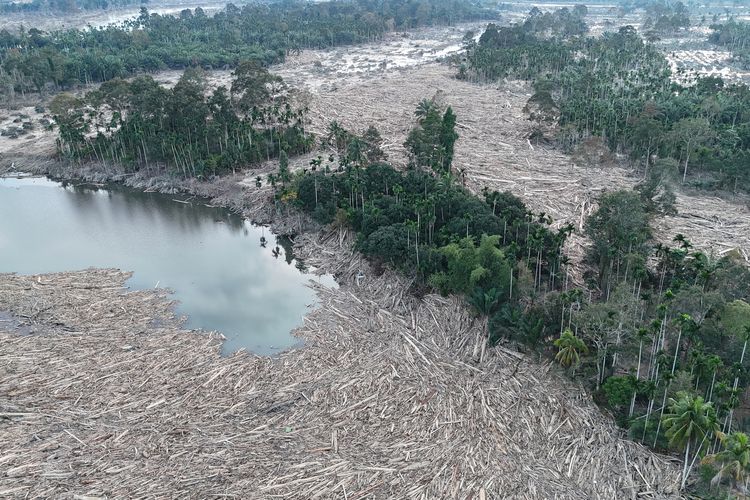 Foto udara kayu gelondongan yang terbawa arus banjir di Desa Geudumbak, Kecamatan Langkahan, Aceh Utara, Aceh, Jumat (5/12/2025). Kayu gelondongan tersebut menumpuk di sepanjang Daerah Aliran Sungai (DAS) Arakundo pasca diterjang banjir bandang pada Rabu (26/11) yang menimpa puluhan rumah warga di desa setempat. 