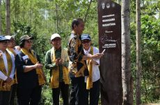 Tempati 621 Hektar IKN, Hutan Penelitian Wanagama Nusantara Diresmikan