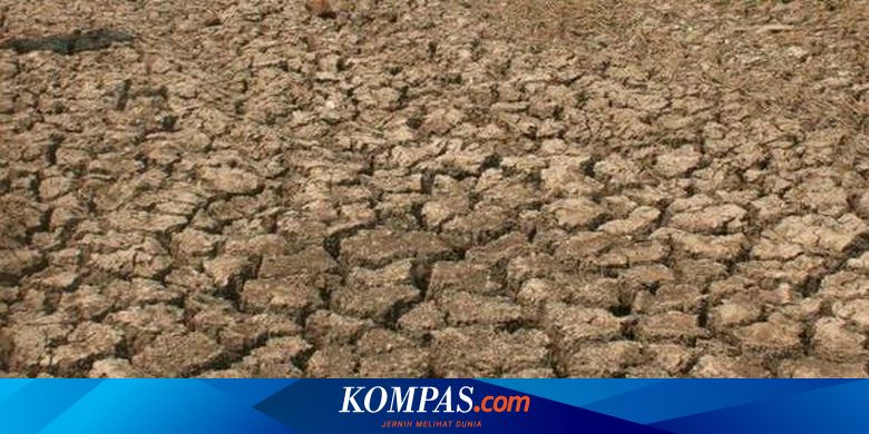 Cuaca Sangat Panas Apakah Berhubungan Dengan Mundurnya Musim