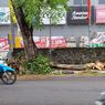 Pohon Tumbang di Rawasari akibat Hujan Angin, Pengendara Motor di Nyaris Tertimpa